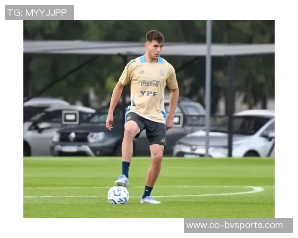 专家建议切尔西耐心培养安塞尔米诺不要急于召回他回英超